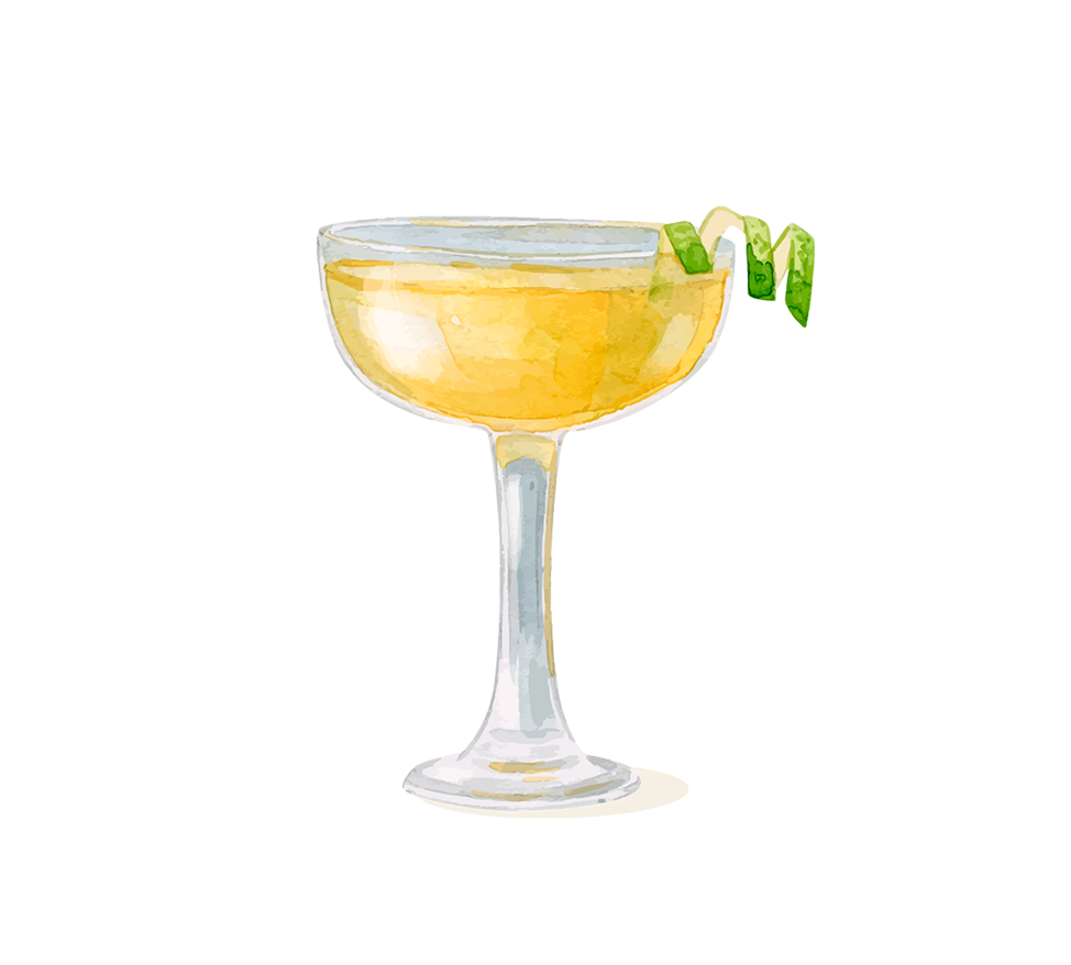recepcioni&t